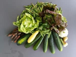 Gemü­se­ta­sche und Bei­pack­zet­tel KW 27