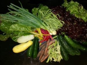 Gemü­se­ta­sche und Bei­pack­zet­tel KW 28