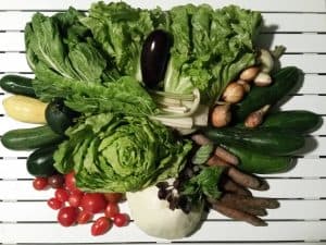 Gemü­se­ta­sche und Bei­pack­zet­tel KW 31