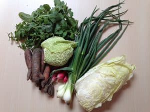 Gemü­se­ta­sche und Bei­pack­zet­tel KW 20