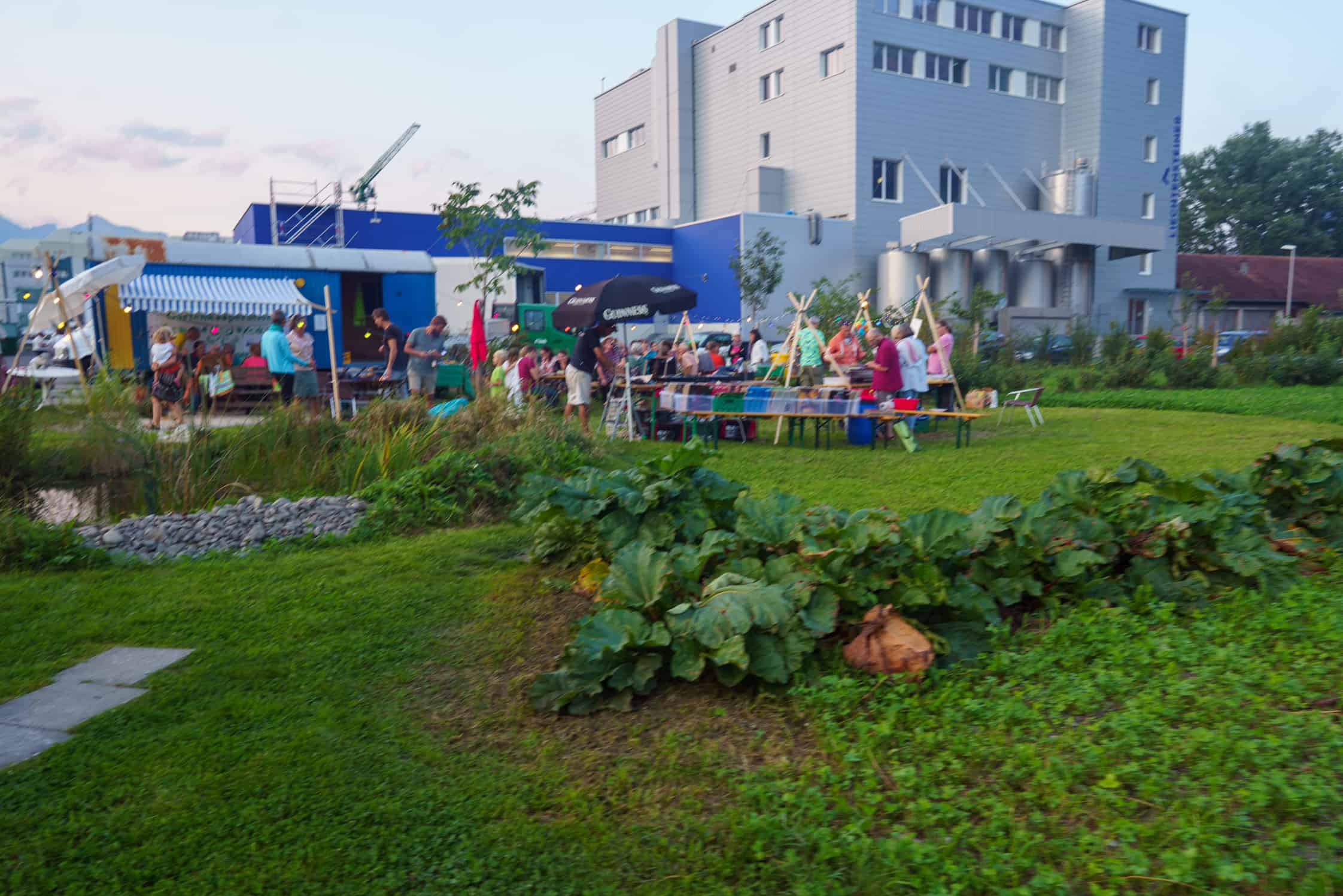 EIN FESTLICHES WOCHENENDE - Groovy Sound, leckere Snacks, Feldführungen, Kinderspass